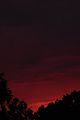 sunset08bohmsach001