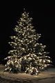 Christmas_treebohmsach003